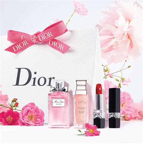 dior cosmetics hk|dior hk website.